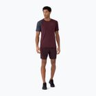 Мъжки къси панталони 4F M290 burgundy