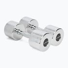 Хромирани дъмбели XTREXO 2x12 kg silver