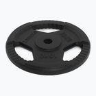 Чугунена тежест XTREXO TRX-ICP010 10 кг хром