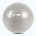 Гимнастическа топка XTREXO TXO-B4Z007-GY 55 cm grey