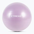 Гимнастическа топка XTREXO TXO-B4Z008-VT 65 cm рurple