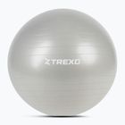 Гимнастическа топка XTREXO TXO-B4Z009-GY 75 cm grey