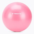 Мини гимнастическа топка TREXO TXO-B4Z010-PK 20 cm pink