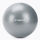 Мини гимнастическа топка TREXO TXO-B4Z010-GY 20 cm grey