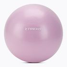 Мини гимнастическа топка TREXO TXO-B4Z011-VT 25 cm purple