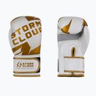 Боксьорски ръкавици StormCloud Bolt 3.0 white/gold