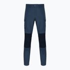 Мъжки панталони за трекинг Vandre Tur 576 синьо-зелен 62698 на Helly Hansen