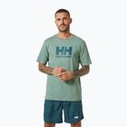 Мъжка тениска Helly Hansen HH Logo cactus