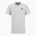 Мъжка тениска Helly Hansen Nord Graphic grey melang