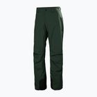 Мъжки скиорски панталони Helly Hansen Legendary Insulated dark jungle