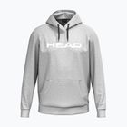 Мъжки суитшърт HEAD Club Original Hoodie grey/melange