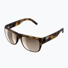 Слънчеви очила POC Want tortoise brown/larity trail/partyly sunny silver 