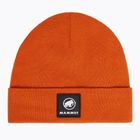 Зимна шапка Mammut Fedoz Beanie autumn larice