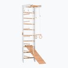 Гимнастическа стълба RINAGYM SPR B+SLIDE
