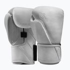 Боксови ръкавици Hayabusa T360 Leather white