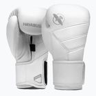 Боксови ръкавици Hayabusa T3 Kanpeki arctic white