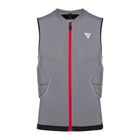 Мъжка предпазна жилетка Dainese Flexagon 2 silver filigree/castle rock