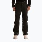 Мъжки скиорски панталони Fischer Premier Full Zip black