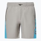Мъжки шорти Oakley Training Sidepanel cement