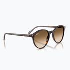 Слънчеви очила Ray-Ban Bernard havana/brown gradient