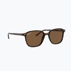 Слънчеви очила Ray-Ban Leonard tortoise/brown polarized