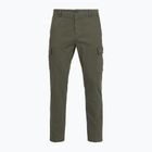 Мъжки панталони за бягане Spodnie Aeronautica Militare 262PA1740UCT04381 tea leaf