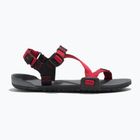 Детски сандали Xero Shoes Z-Trail с въглен/червен пипер на Barefoot