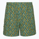 Мъжки панталони за трекинг Royal Robbins All-In algae flash pt