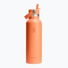 Термобутилка Hydro Flask Standard Flex Straw 620 ml nectar