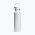 Термобутилка Hydro Flask Standard Flex 621 ml white