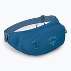 Osprey Daylite Waist 2 l blue spikemoss/alkaline калъф за бъбрек