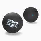 Топки за скуош Wilson Staff Ball Blue Dot 12 бр., черни.