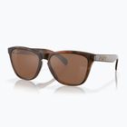 Слънчеви очила Oakley Frogskins матова костенурка/призматичен волфрам