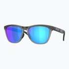 Слънчеви очила Oakley Frogskins Range matte black/prizm sapphire