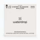 Енергийна напитка Microenergy Shiro 12 кубчета cherry blossom/ mallow