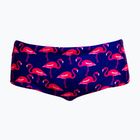 Мъжки плувни боксерки Funky Trunks Sidewinder Trunks flocked up