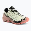 Дамски маратонки за бягане Salomon Speedcross 6 GTX lime cream/mahogany rose/black