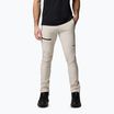 Columbia Titan Pass Men's Trekking Pant II dark stone