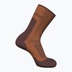 Мъжки чорапи за трекинг Icebreaker Merino Hike+ Light Crew dusty clay/carob