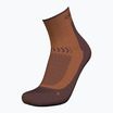 Мъжки чорапи за трекинг Icebreaker Merino Hike+ Light Mini dusty clay/carob