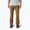 Мъжки панталони за трекинг Patagonia Terravia Trail Regular coriander brown