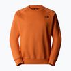 Мъжки суитшърт The North Face Raglan Box Nse Crew iron bronze/tnf black
