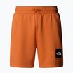 Мъжки къси панталони за трекинг The North Face Box Nse Regular iron bronze/tnf bronze