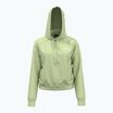 Дамска качулка Under Armour Pro Fleece Hoodie retro green/white