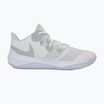 Обувки Nike Zoom Hyperspeed Court SE smmit white/metalic silver/pure platinum