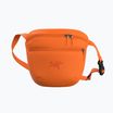 Arc'teryx Mantis 2 2.5 l verve саше