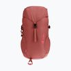 Детска туристическа раница Deuter Climber 22 l redwood/hibiscus