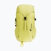 Детска туристическа раница Deuter Climber 22 l sprout/linden
