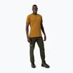 Мъжки софтшел панталони Salewa Puez DST Cargo green 00-0000028310