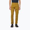 Мъжки панталони за трекинг Salewa Fanes Light golden brown